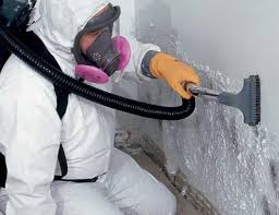 Mold Odor Removal Services in Savannah, MO